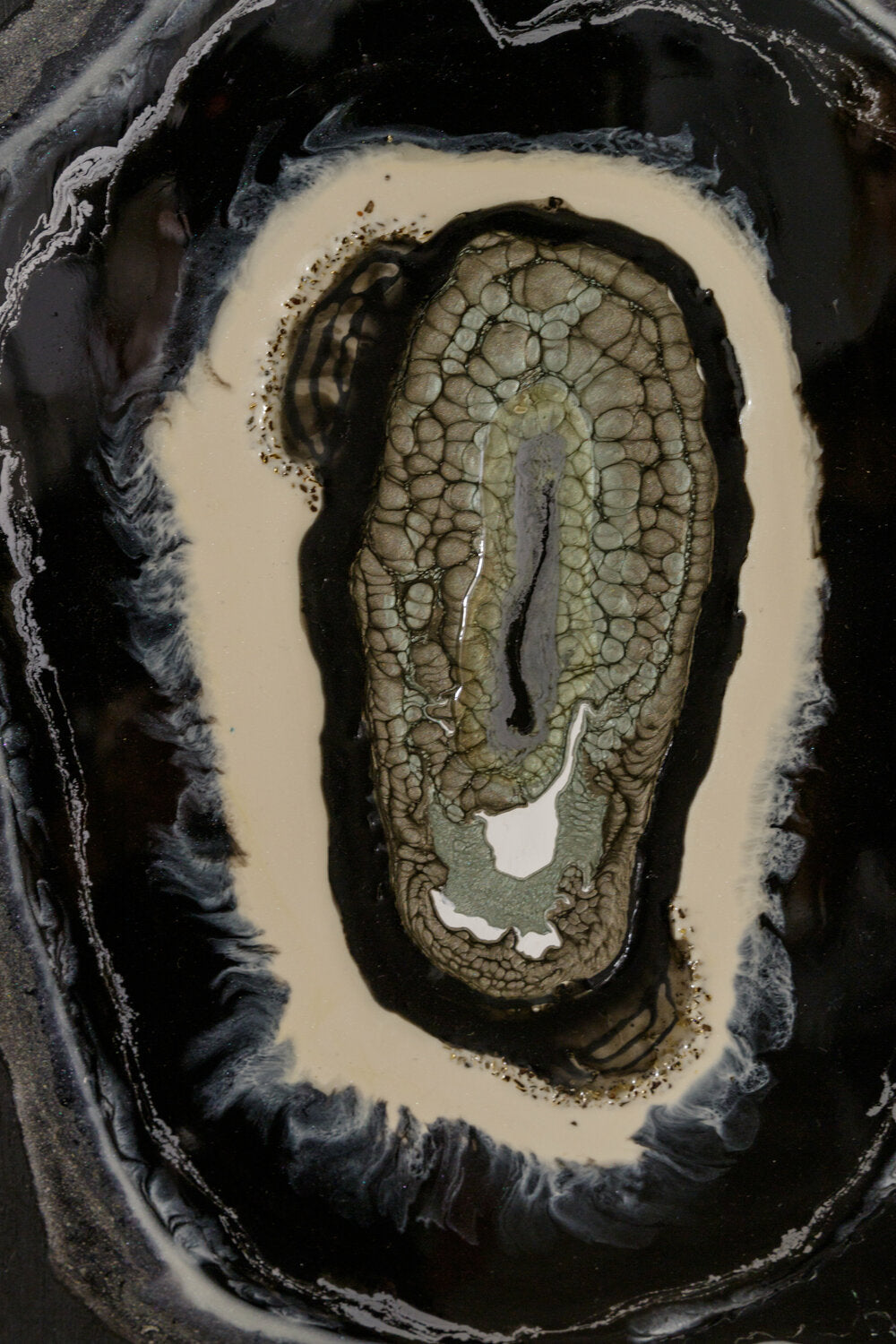 Evolution 1 — detail