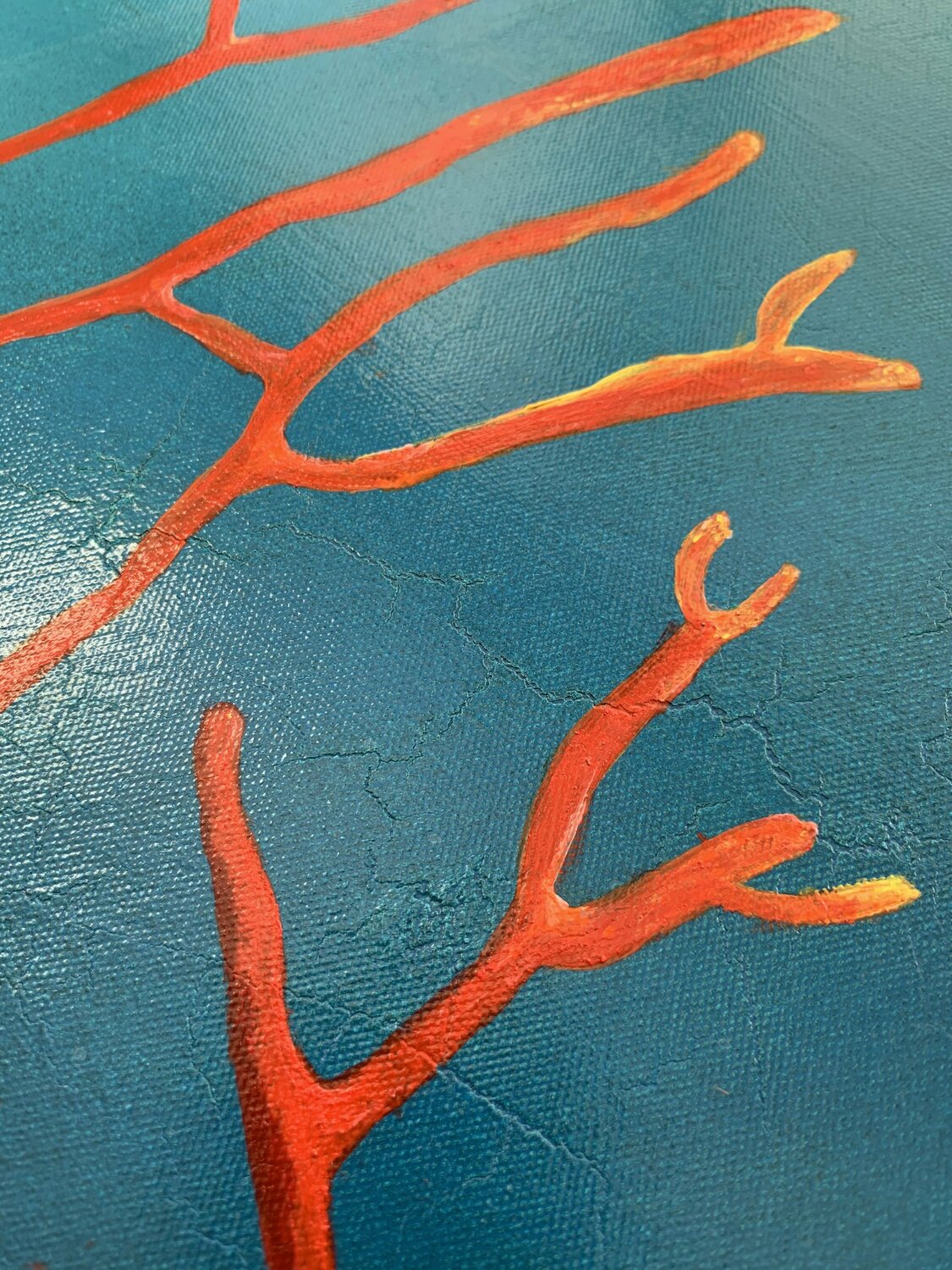 Red coral — detail