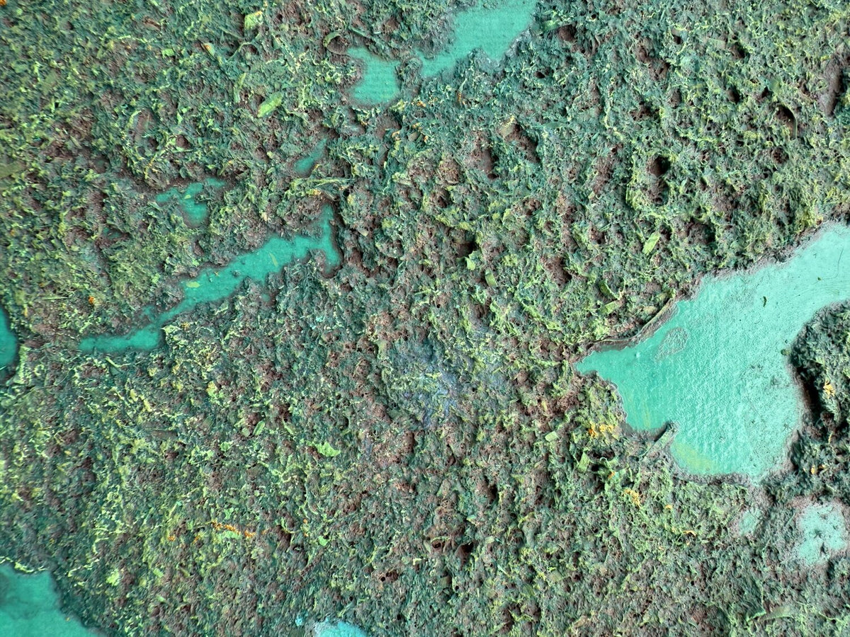 Abundance — detail