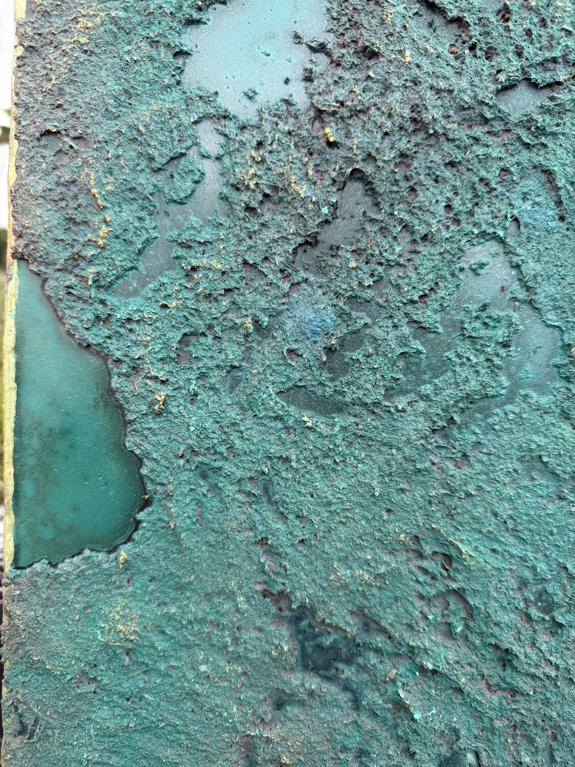 Abundance — detail