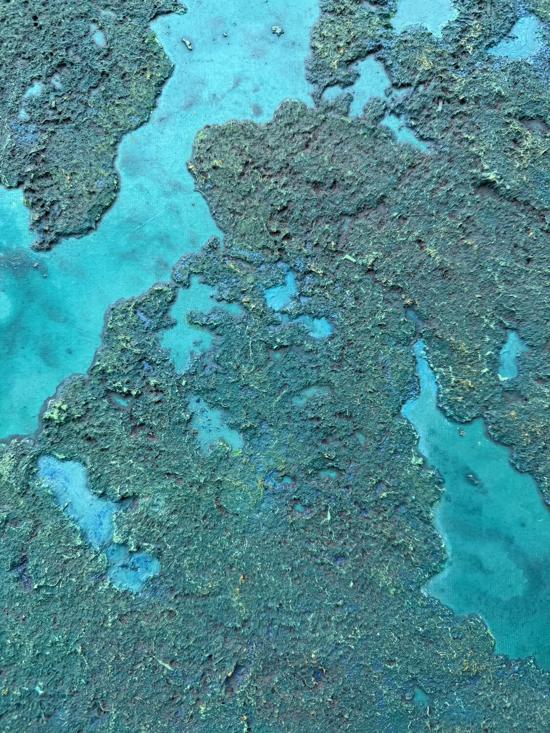 Abundance — detail