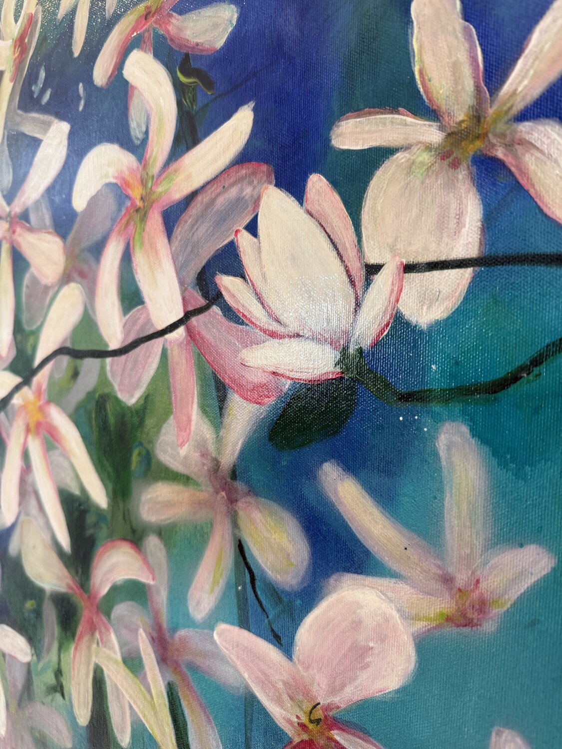 Magnolia — detail