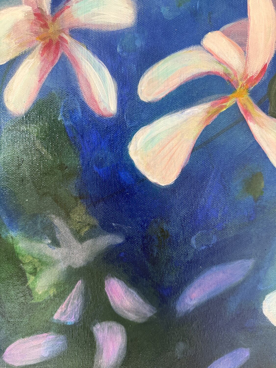 Magnolia — detail