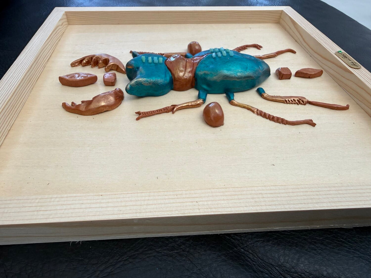 Teal scarabee — detail