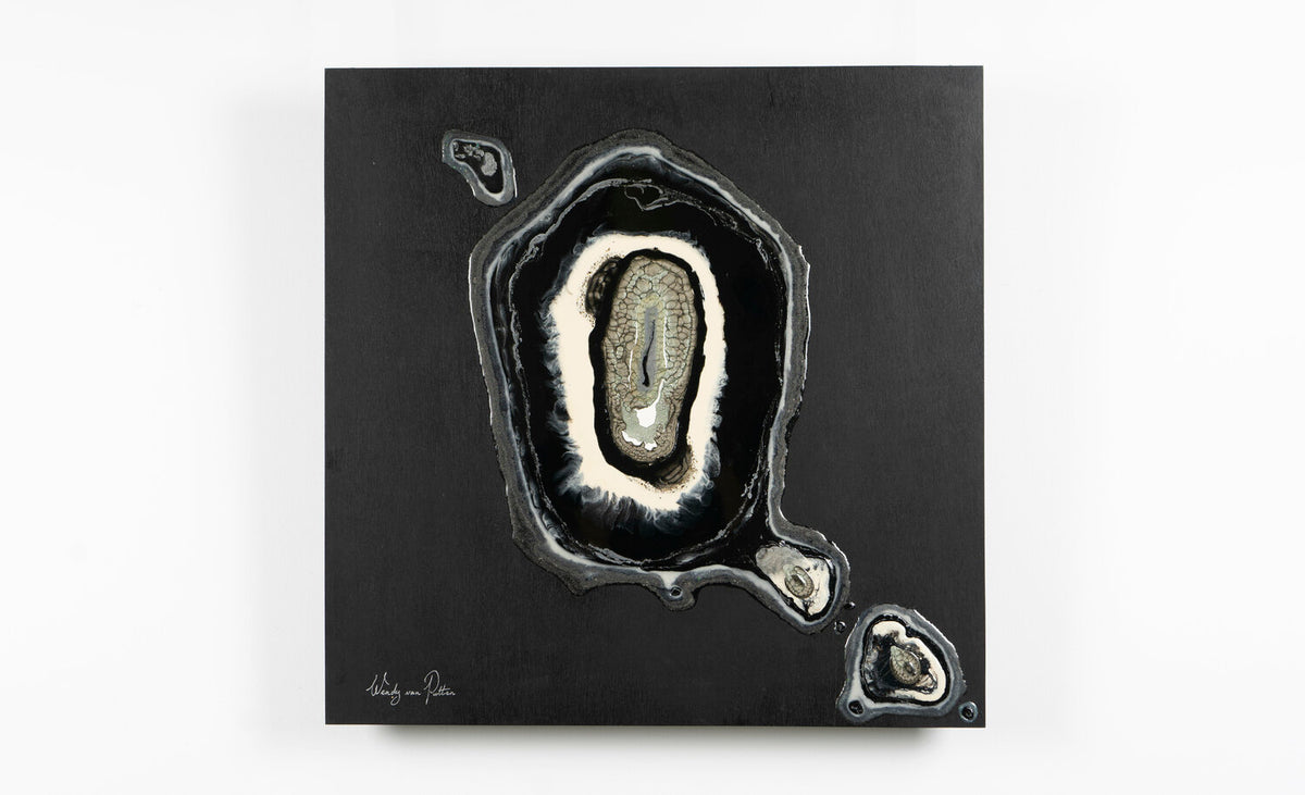 Evolution 1 — detail