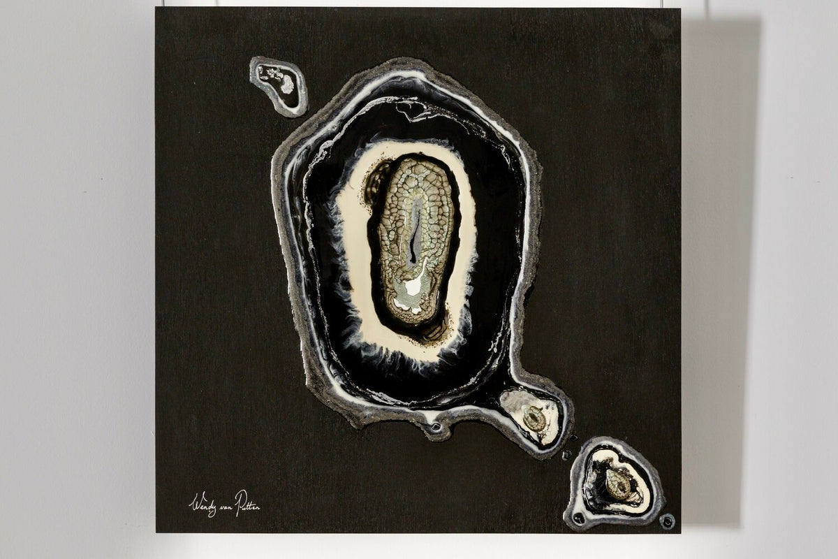 Evolution 1 — detail