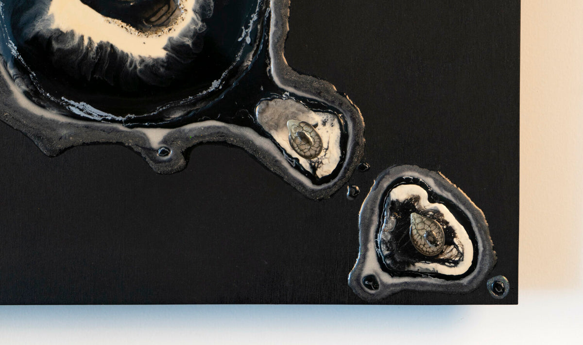 Evolution 1 — detail