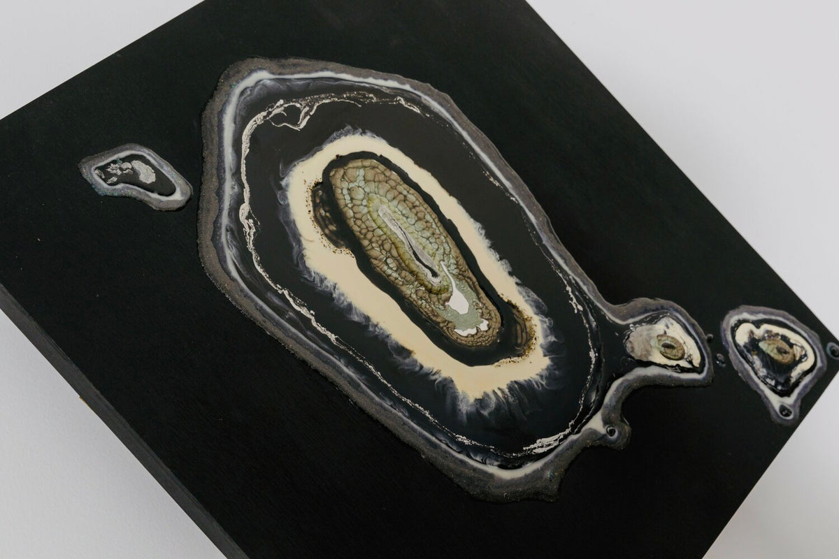 Evolution 1 — detail