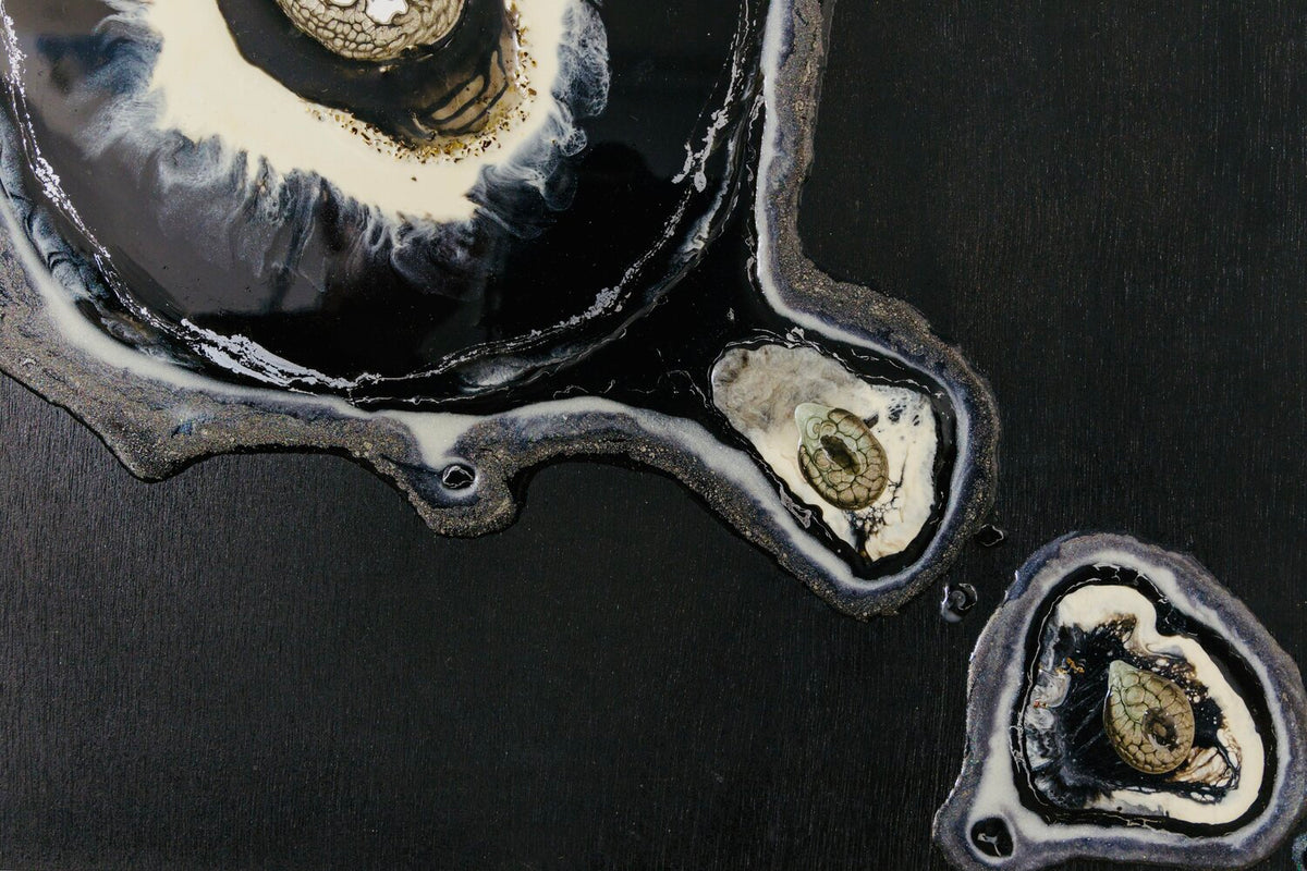 Evolution 1 — detail